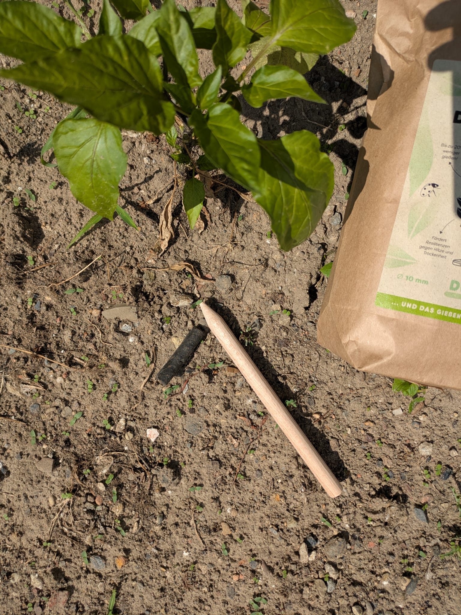 Dübli – The clever fertilizer peg for your plants (1kg)
