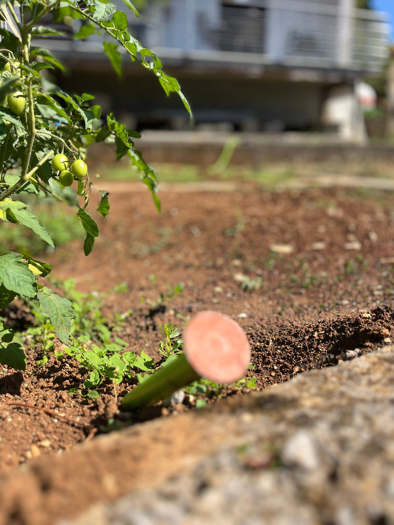 Ein Schlauchstopfen aus Keramik am Ende eines Bewässerungssystems